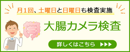 大腸カメラ検査