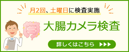 大腸カメラ検査