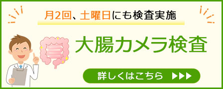 大腸カメラ検査